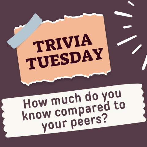 Trivia Tuesday