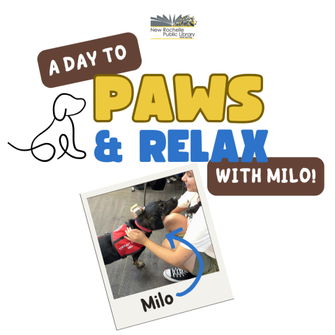 A Day to Paws and Relax with  Milo