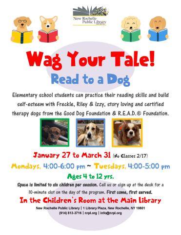 Wag Your Tale: Read to a Dog!