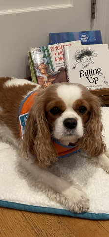 Wag Your Tale: "Read to a Dog!" w/ Freckle