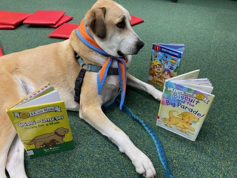 Wag Your Tale: Read to a Dog!