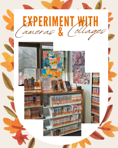 Experiment with Cameras and Collages