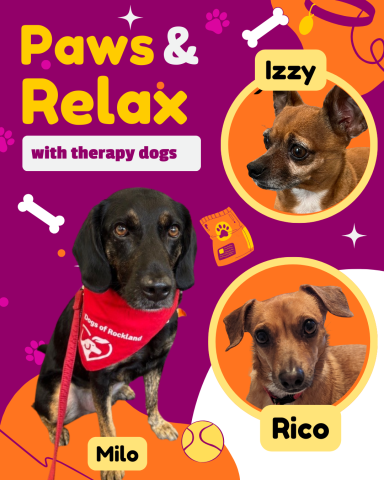 Paws & Relax with Therapy Dogs