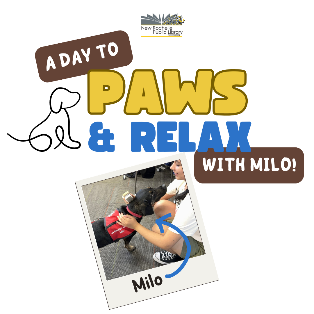 A Day to Paws and Relax with  Milo