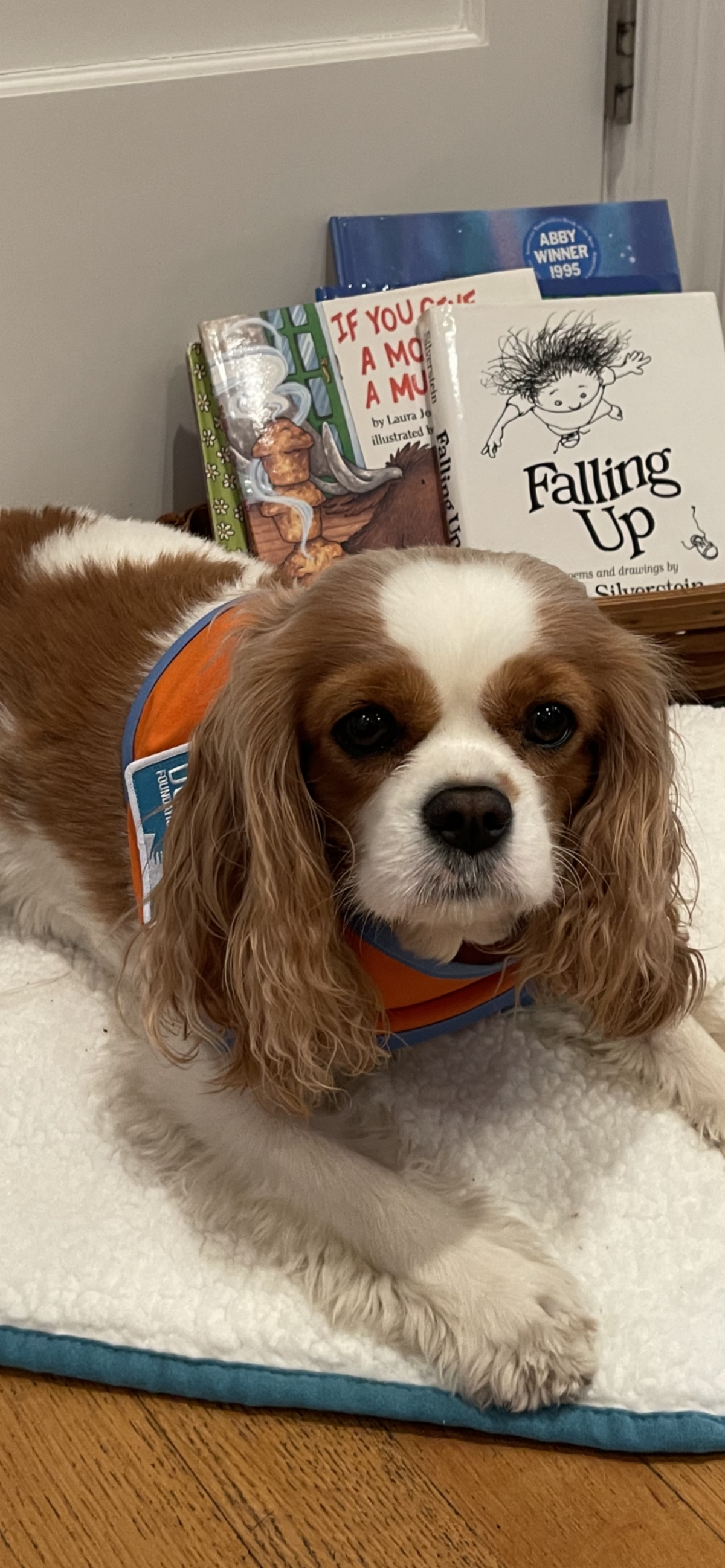 Wag Your Tale: "Read to a Dog!" w/ Freckle