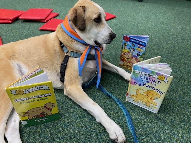 Wag Your Tale: Read to a Dog!
