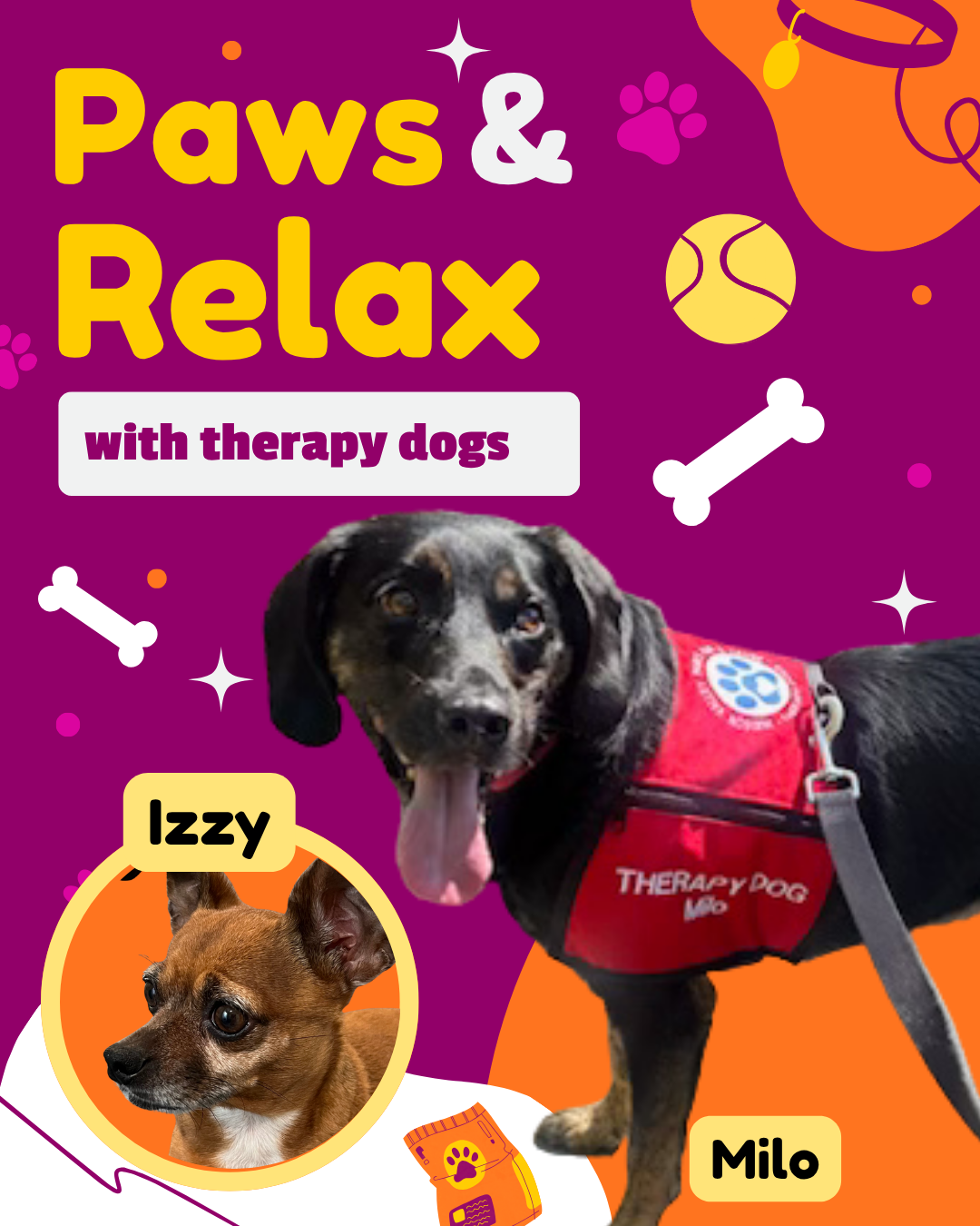 Paws & Relax with Therapy Dogs